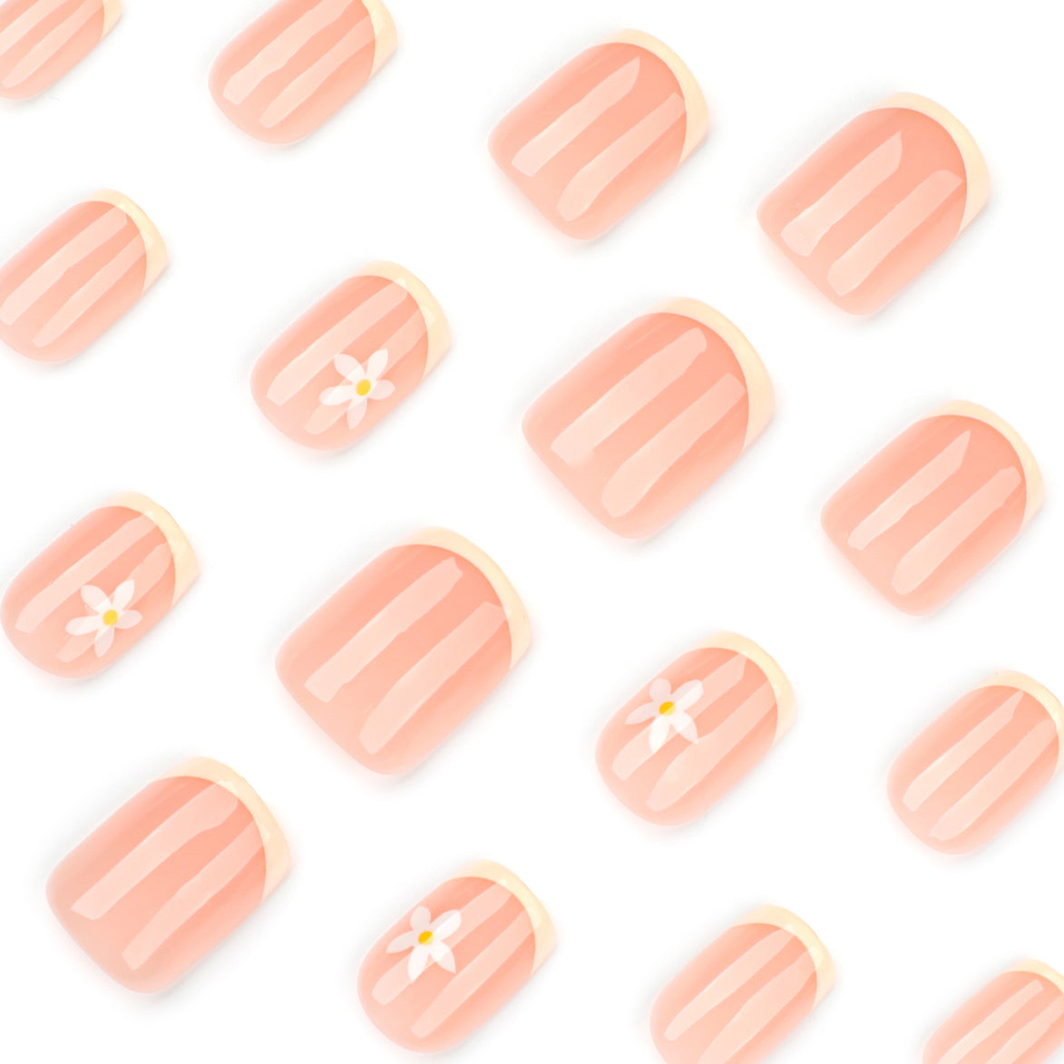 Daisy & Bee French Press-On Nails